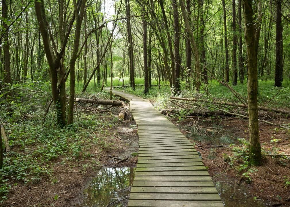 #40. North Decatur, Georgia